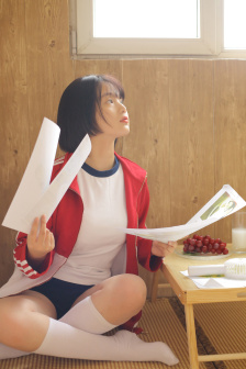 疯狂的蠢贼